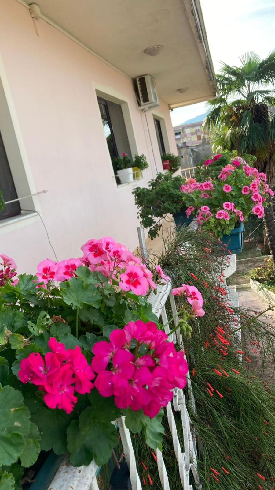 Blissful Albergue Shkodër