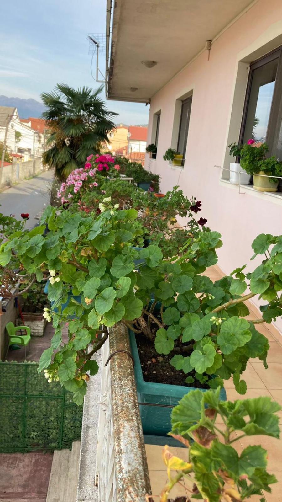 Albergue Blissful
