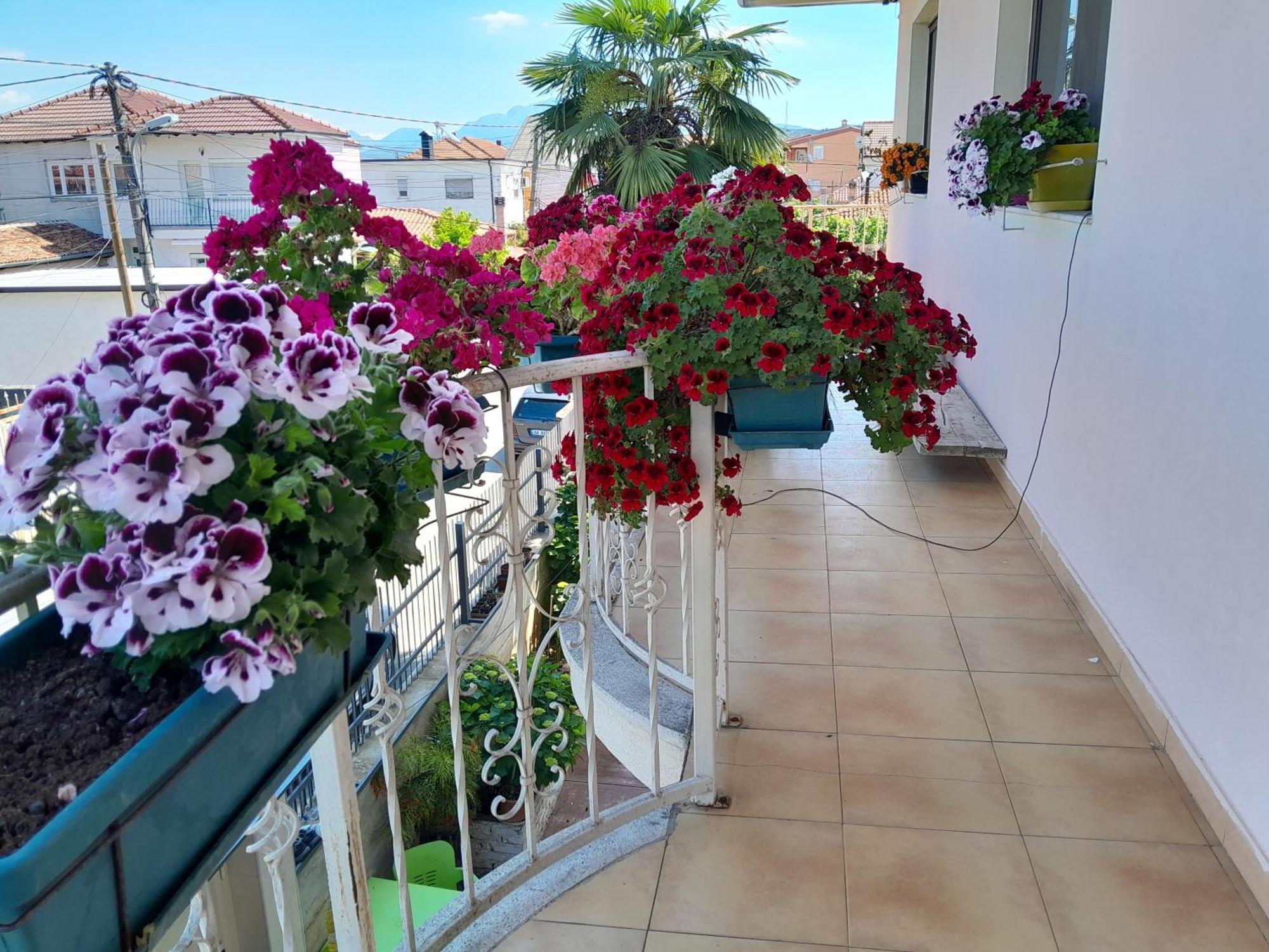 Albergue Blissful