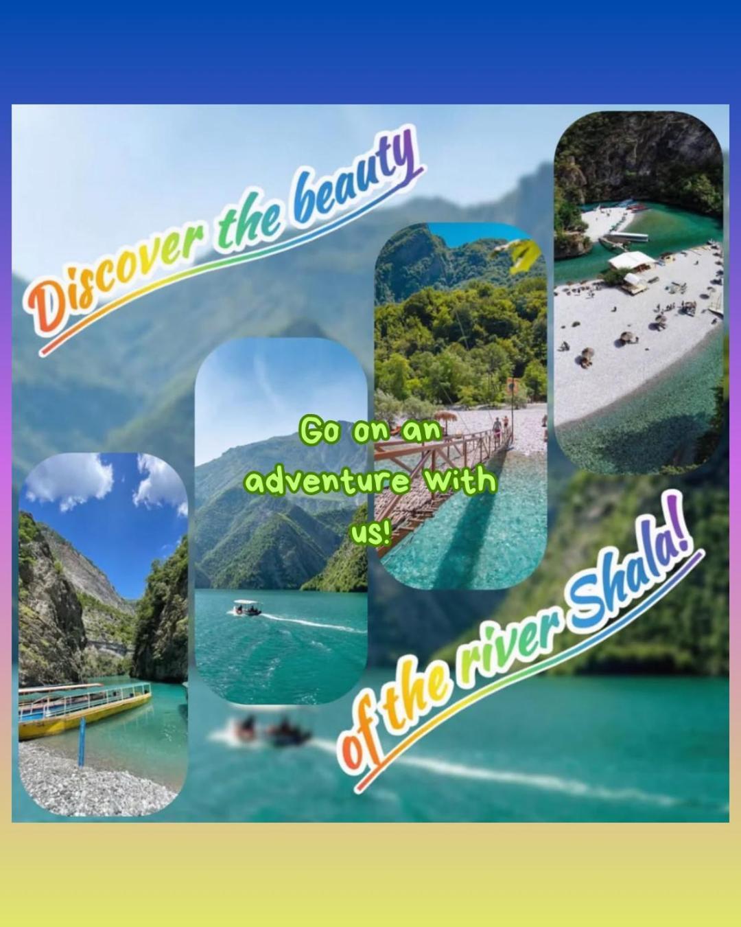 Blissful * Shkodër
